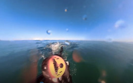 הגולש נמלט מהכריש אל מול חופי אוסטרליה (צילום: צילום מסך מתוך רויטרס)