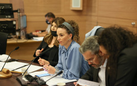 יו"ר הוועדה המסדרת, עידית סילמן (צילום: נועם מושקוביץ, דוברות הכנסת)