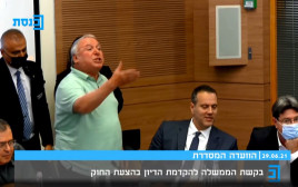 דודי אמסלם בוועדה המסדרת (צילום: צילום מסך מתוך ערוץ הכנסת)