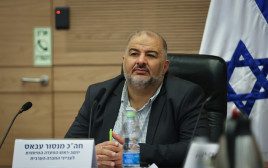 מנסור עבאס (צילום: נועם מושקוביץ, דוברות הכנסת)