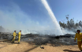 שריפה בסחנה (צילום: תיעוד מבצעי כבאות והצלה לישראל)