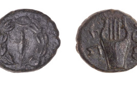 המטבעות שהתגלו בבנימין (צילום: טל רוגובסקי)