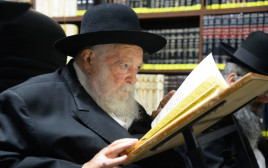 הרב קנייבסקי (צילום: שוקי לרר)