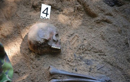 הממצאים שהתגלו בקבר האחים מימי השואה (צילום: רויטרס)