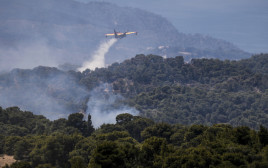 שריפה ביוון (צילום:  YORGOS KONTARINIS / Contributor)