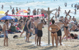 מצטננים מהחום הכבד בחוף בוגרשוב בתל אביב (צילום: אבשלום ששוני)