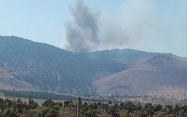 שריפה בגלבוע (צילום: כבאות והצלה מחוז צפון)