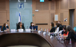 הוועדה לקידום מעמד האישה ולשיוויון מגדרי (צילום: דוברות הכנסת, נועם מושקוביץ)