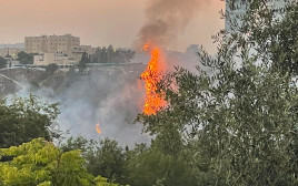 שריפה בגבעת שאול בירושלים (צילום: דורון ישי)
