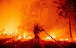 השריפה בסן ברנרדינו (צילום: Getty images)