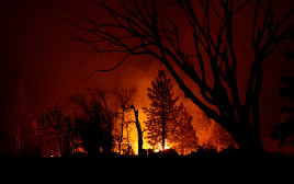 שריפה בקליפורניה (צילום: רויטרס)