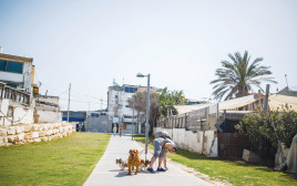 בעלים של כלב אוסף קקי של כלב ברחוב  (צילום: Corinna Kern Flash90)