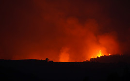 השריפות באי סיציליה (צילום: REUTERS/Antonio Parrinello)