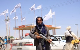 לוחם טליבאן בגאזני, אפגניסטן (צילום:  REUTERS/Stringer)