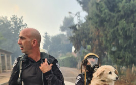 שוטרי ושוטרות היס"מ של מחוז ירושלים מחלצים כלבים מהשריפה בהרי ירושלים (צילום: דוברות המשטרה)