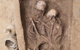 אהבה נצחית (צילום: International Journal of Osteoarchaeology)