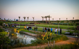 טיולים בארץ (צילום: אורי אהרון)