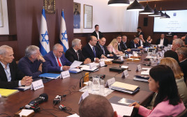 ישיבת ממשלת ישראל ה-36 (צילום: עמית שאבי, פול)
