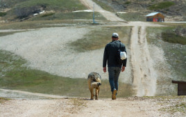 טיול עם הכלב, אילוסטרציה (צילום: ingimage/ASAP)