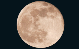 ירח מלא (צילום: רויטרס)