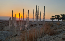 מזג אוויר סתווי במדבר, סמוך למושב עידן (צילום: רועי גלילי, הערבה התיכונה)