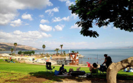 מזג אוויר שמשי בכנרת (צילום: טלי בר, איגוד ערים כינרת)