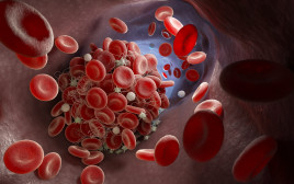 תאי דם לבנים (אילוסטרציה) (צילום: אינגאימג')