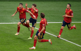 שחקני נבחרת ספרד חוגגים עם פראן טורס (צילום: רויטרס)