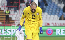 פרדראג ראיקוביץ', שוער נבחרת סרביה (צילום: GettyImages, Srdjan Stevanovic)