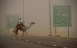 הנגב מגיע לבן גוריון (צילום: לניור אללוף אוחנה)