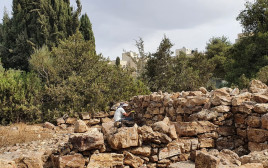שימור המיצד בגבעה הצרפתית בירושלים (צילום: יעל קלמן, רשות העתיקות)