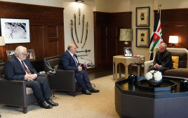 מנסור עבאס בפגישה עם המלך עבדאללה בירדן (צילום: סוכנות הידיעות הממשלתית הירדנית)