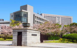 Osaka University (צילום: Getty images)