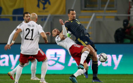 זלאטן איברהימוביץ', שחקן נבחרת שבדיה מול נבחרת גאורגיה (צילום: רויטרס)