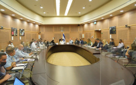 הוועדה לביטחון פנים (צילום: דני שם טוב, דוברות הכנסת)