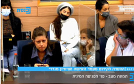 העדות של מריאנה סופיאניק (צילום: צילום מסך מתוך ערוץ הכנסת)