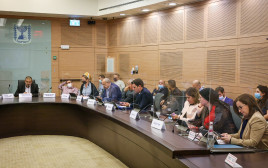 ועדת הפנים של הכנסת (צילום: נועם מושקוביץ, דוברות הכנסת)