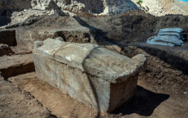 סרקופג בחפירת יבנה (צילום: יניב ברמן רשות העתיקות)