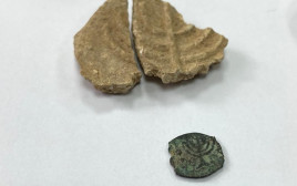 מטבע עם תבליט מנורה מתקופת החשמונאים (צילום: דוברות המשטרה)