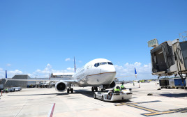 מטוס חברת יונייטד איירליינס, אילוסטרציה (צילום: Getty images)