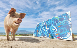ציור של חזירה נמכר תמורת 26 אלף דולר (צילום: pigcasso)