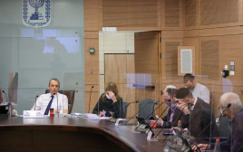 חברי הכנסת בדיון בוועדת חוקה (צילום: נועם מושקוביץ, דוברות הכנסת)