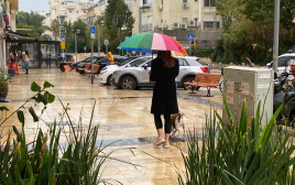 גשם בתל אביב (צילום: אבשלום ששוני)