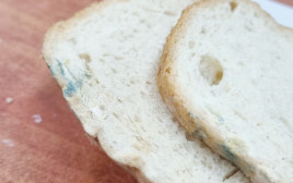 לחם עם עובש בחדרי אוכל בצה"ל (צילום: ללא קרדיט)