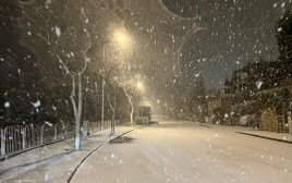 שלג (צילום: וילה גליליי)