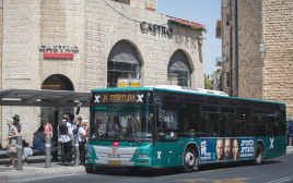 אוטובוס צילום הדס פרוש פלאש 90 (צילום: הדס פרוש, פלאש 90)