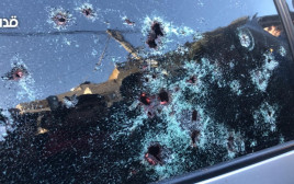 סימני הירי על רכבם של שלושת המחבלים (צילום: רשתות ערביות)