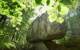 הסלע שבתמונה שוקל 137 טונות (צילום: Getty images)