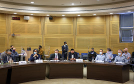 דיון בוועדה לביטחון פנים (צילום: נועם מושקוביץ, דוברות הכנסת)