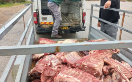 הבשר המקולקל שנתפס בפרדיס (צילום: דוברות המשטרה)